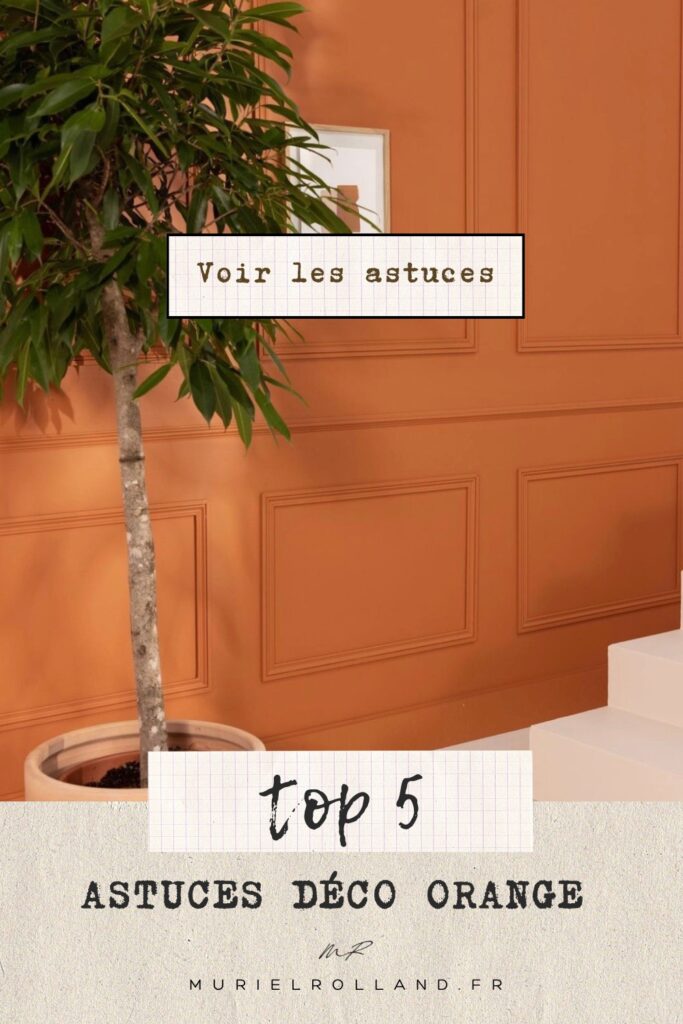 l'orange dans la décoration : mur avec boiseries peint en orange